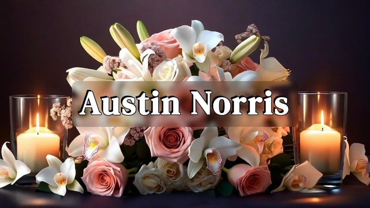 Austin Norris, Collins