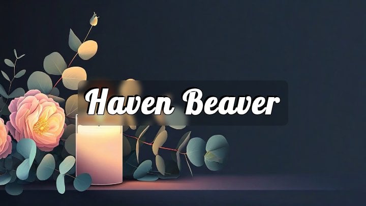 Haven Beaver, Salisbury, NC