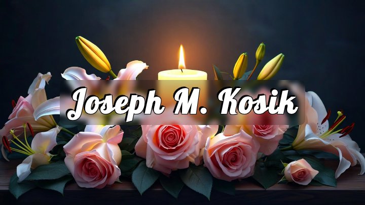Joseph M. Kosik, Binghamton, New York