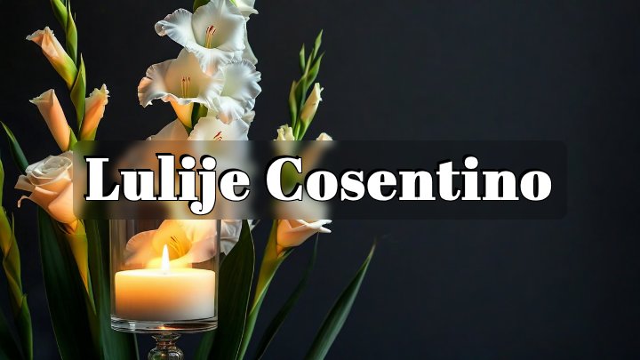 Lulije Cosentino, Interstate 39 near Minonk, Illinois