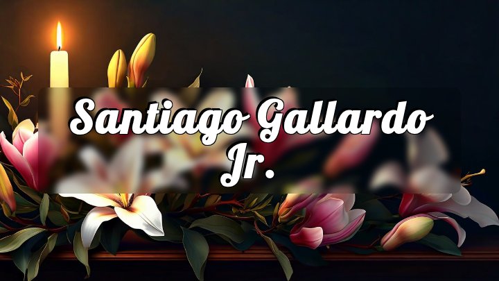 Santiago Gallardo Jr., Chicago, Illinois