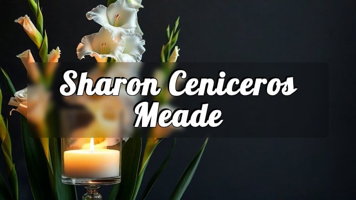 Sharon Ceniceros Meade, Clinton, IL