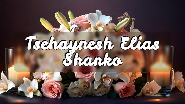 Tsehaynesh Elias Shanko, Irving, Texas