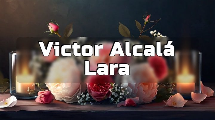 Victor Alcalá Lara, Mercedes, TX