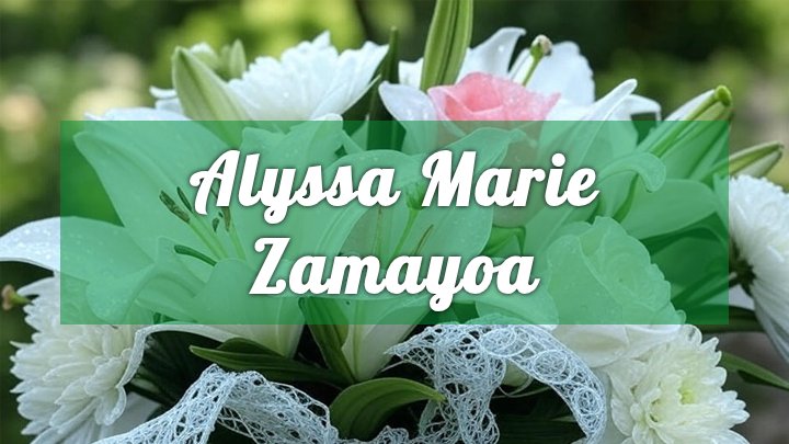 Alyssa Marie Zamayoa, Chicago, IL