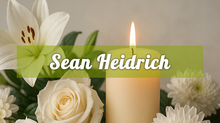 Sean Heidrich, Des Plaines, IL